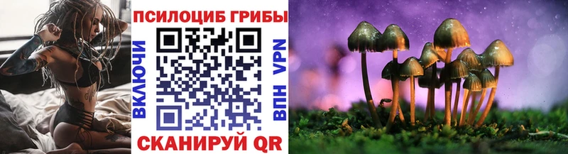 Псилоцибиновые грибы Psilocybe  Аша 
