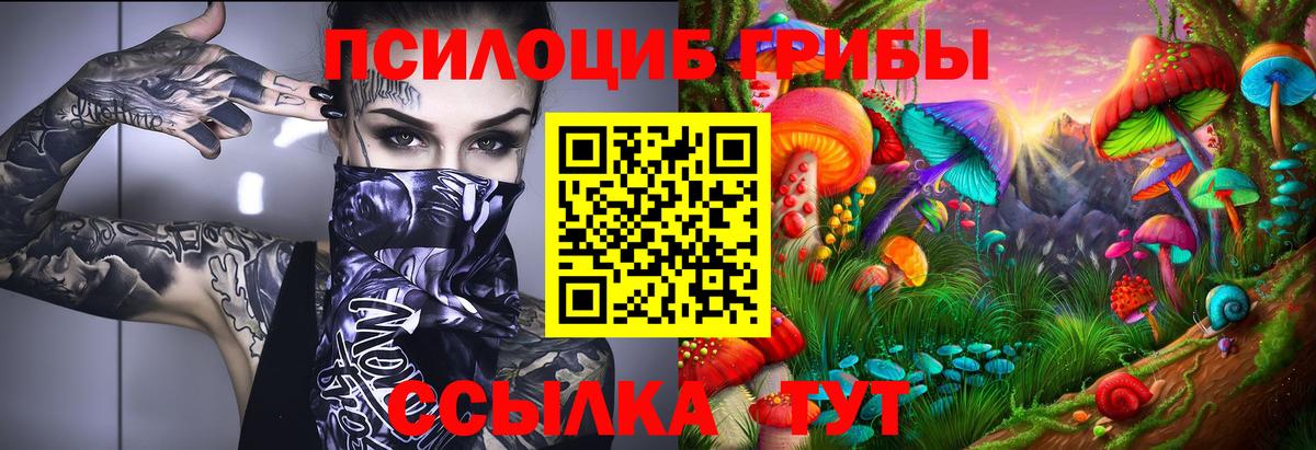 Псилоцибиновые грибы Cubensis Аша