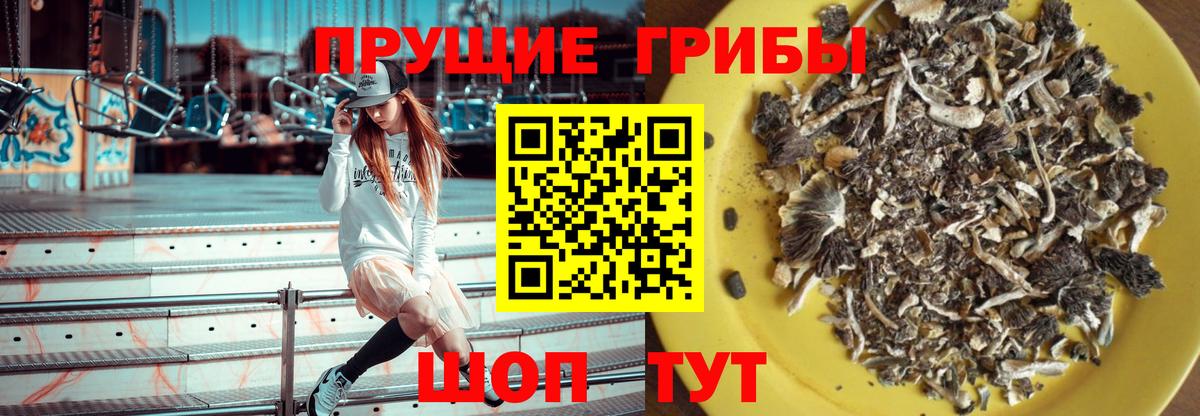 Галлюциногенные грибы мухоморы  Вход с VPN  Аша 